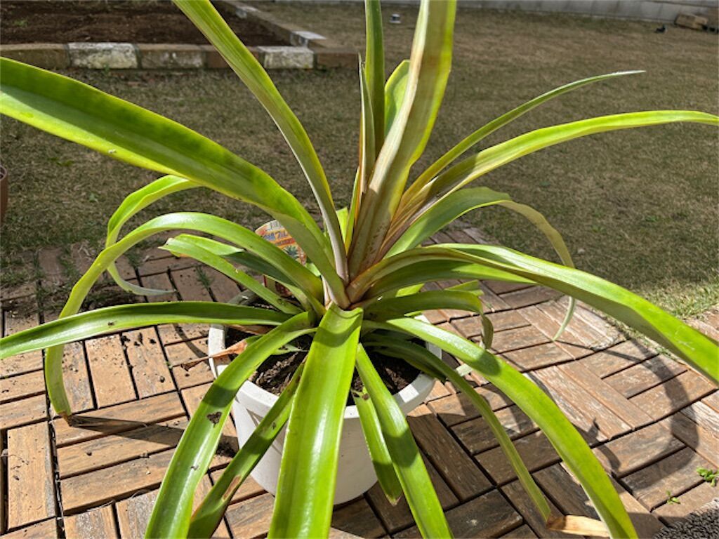 f:id:matundaba79:20230416222333j:image f:id:matundaba79:20230416222333j:image