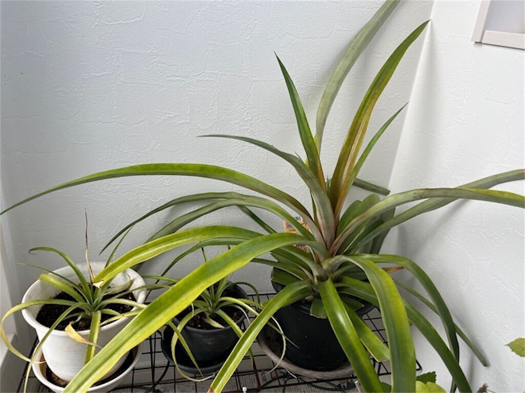 f:id:matundaba79:20230416230421j:image f:id:matundaba79:20230416230421j:image