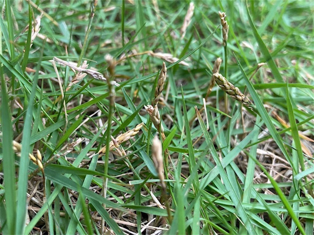 f:id:matundaba79:20230418084721j:image