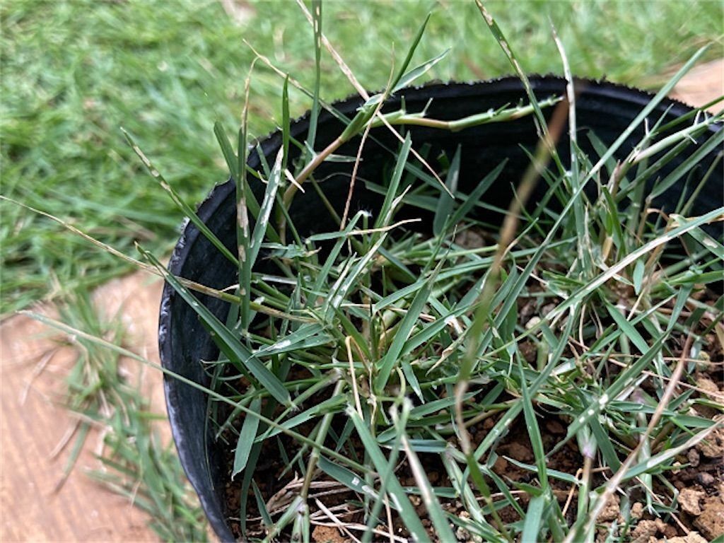 f:id:matundaba79:20230418085701j:image