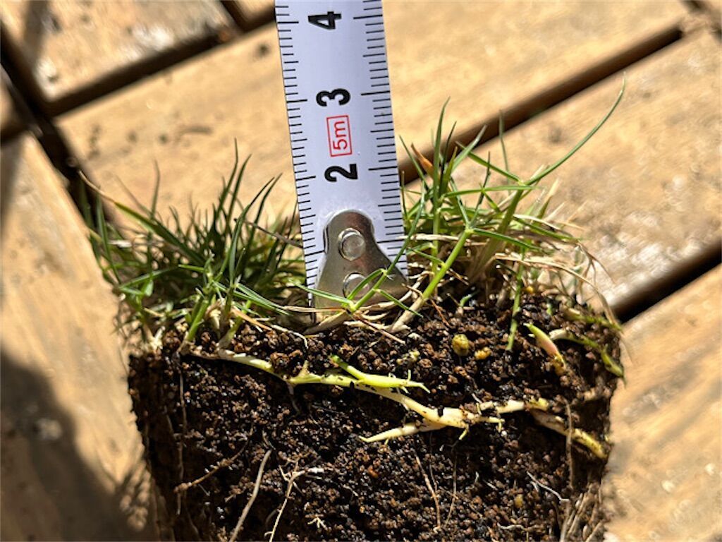 f:id:matundaba79:20230418215255j:image