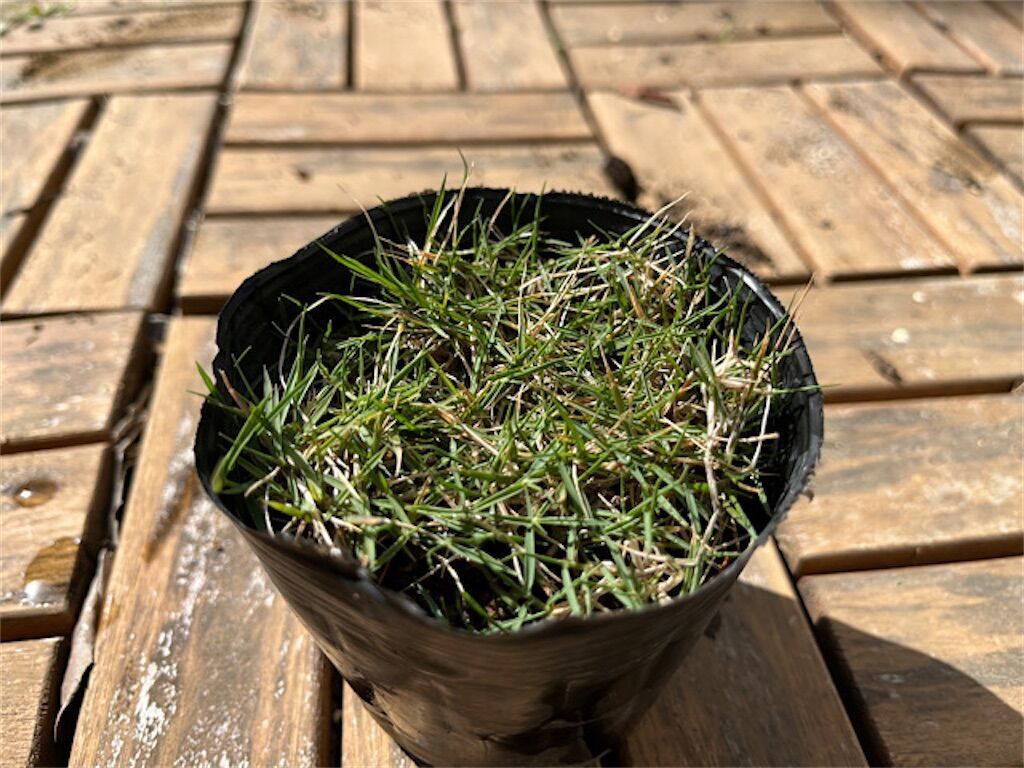 f:id:matundaba79:20230418215301j:image