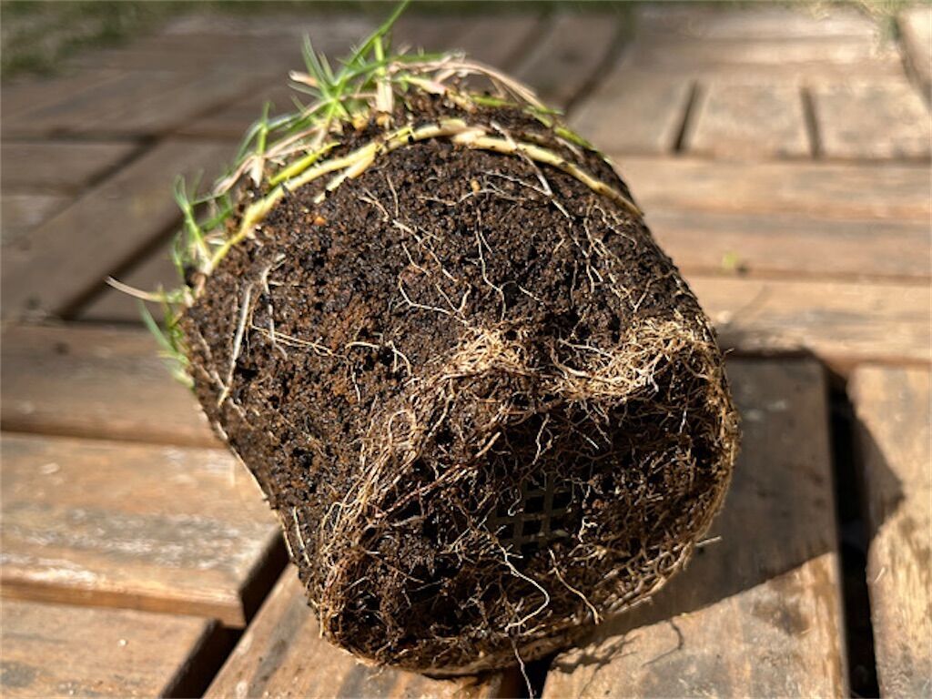 f:id:matundaba79:20230418215305j:image