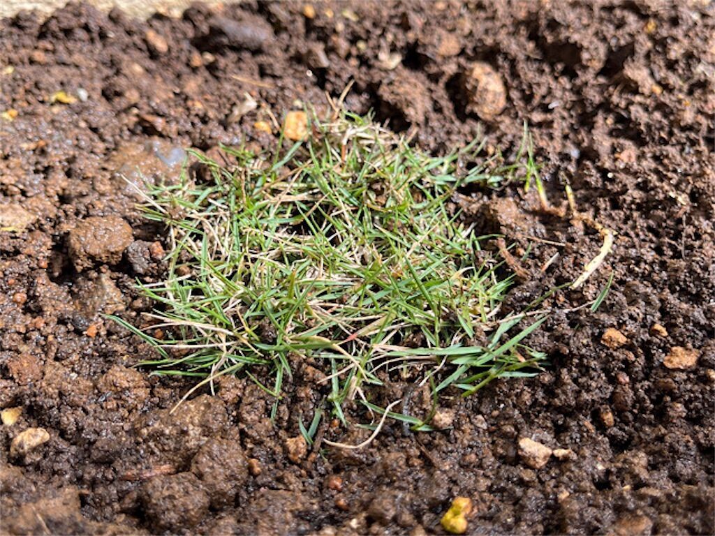 f:id:matundaba79:20230418215308j:image