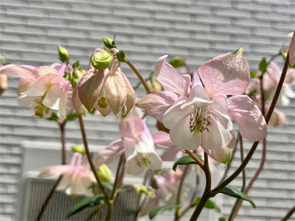 f:id:matundaba79:20230421193027j:image