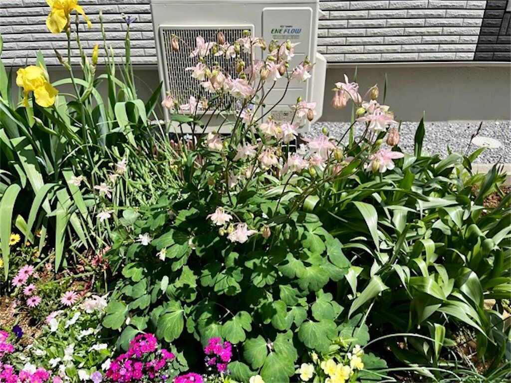 f:id:matundaba79:20230421193721j:image