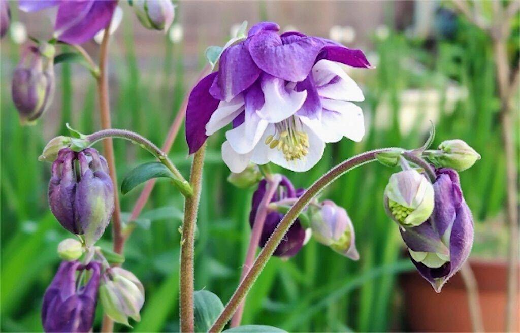 f:id:matundaba79:20230421221245j:image