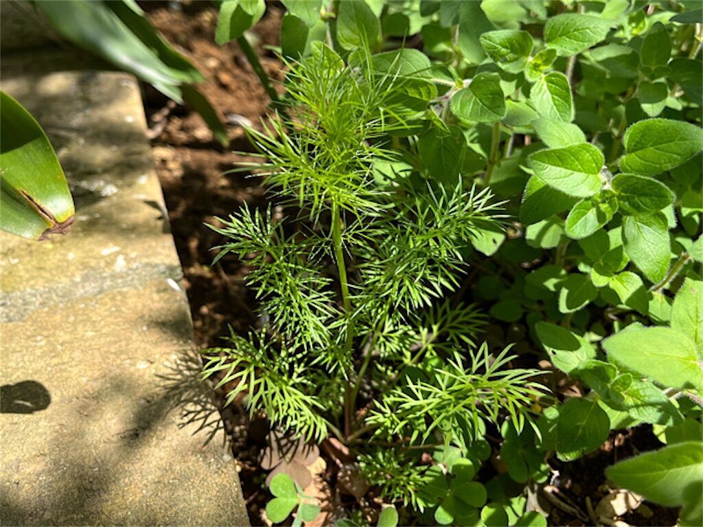 f:id:matundaba79:20230429233401j:image f:id:matundaba79:20230429233401j:image