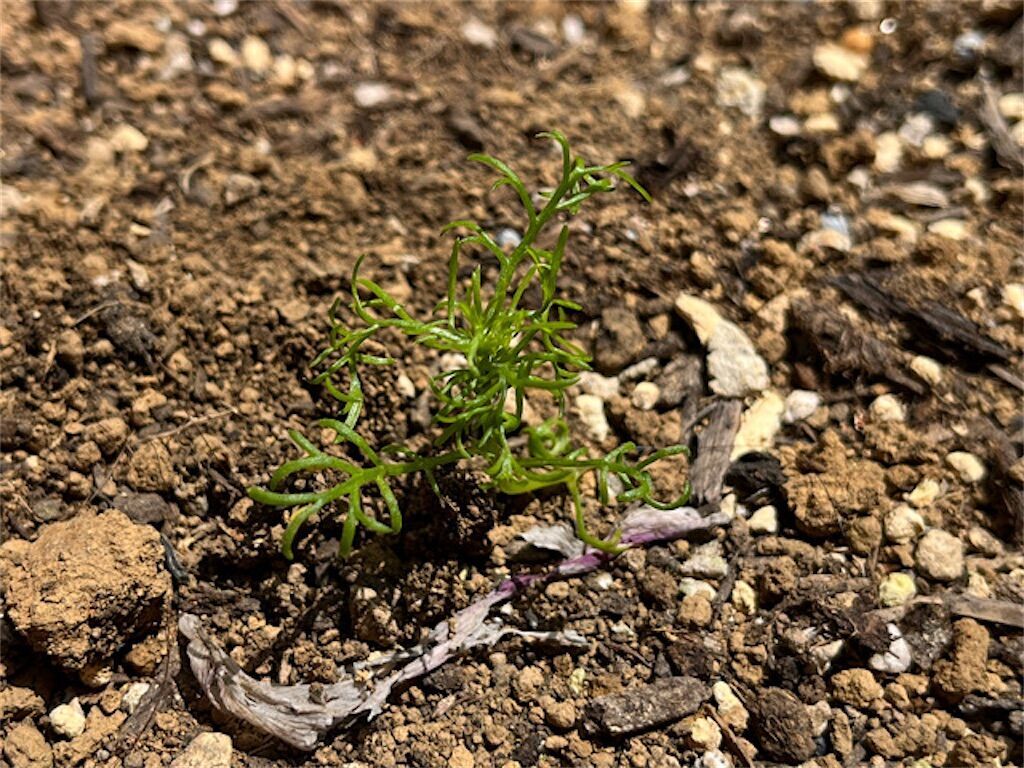 f:id:matundaba79:20230429233406j:image f:id:matundaba79:20230429233406j:image