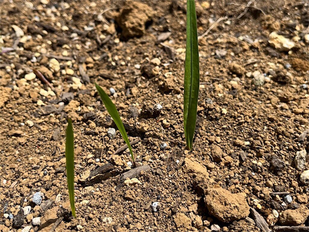 f:id:matundaba79:20230429233410j:image f:id:matundaba79:20230429233410j:image