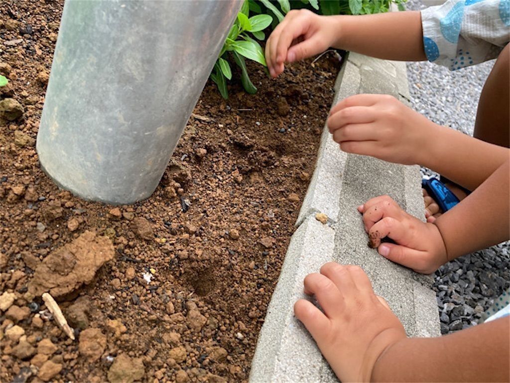 f:id:matundaba79:20230429234523j:image f:id:matundaba79:20230429234523j:image