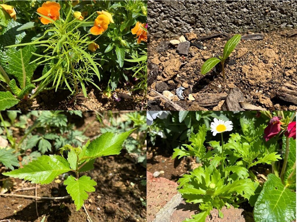 f:id:matundaba79:20230430220626j:image f:id:matundaba79:20230430220626j:image