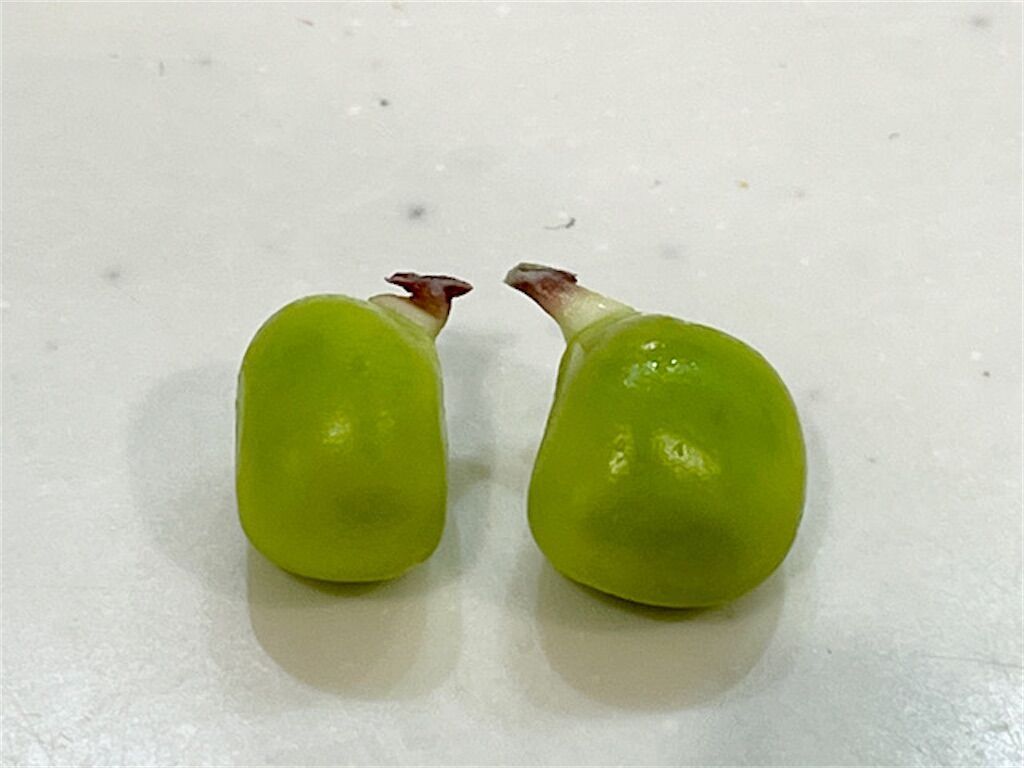 f:id:matundaba79:20230509003553j:image f:id:matundaba79:20230509003553j:image