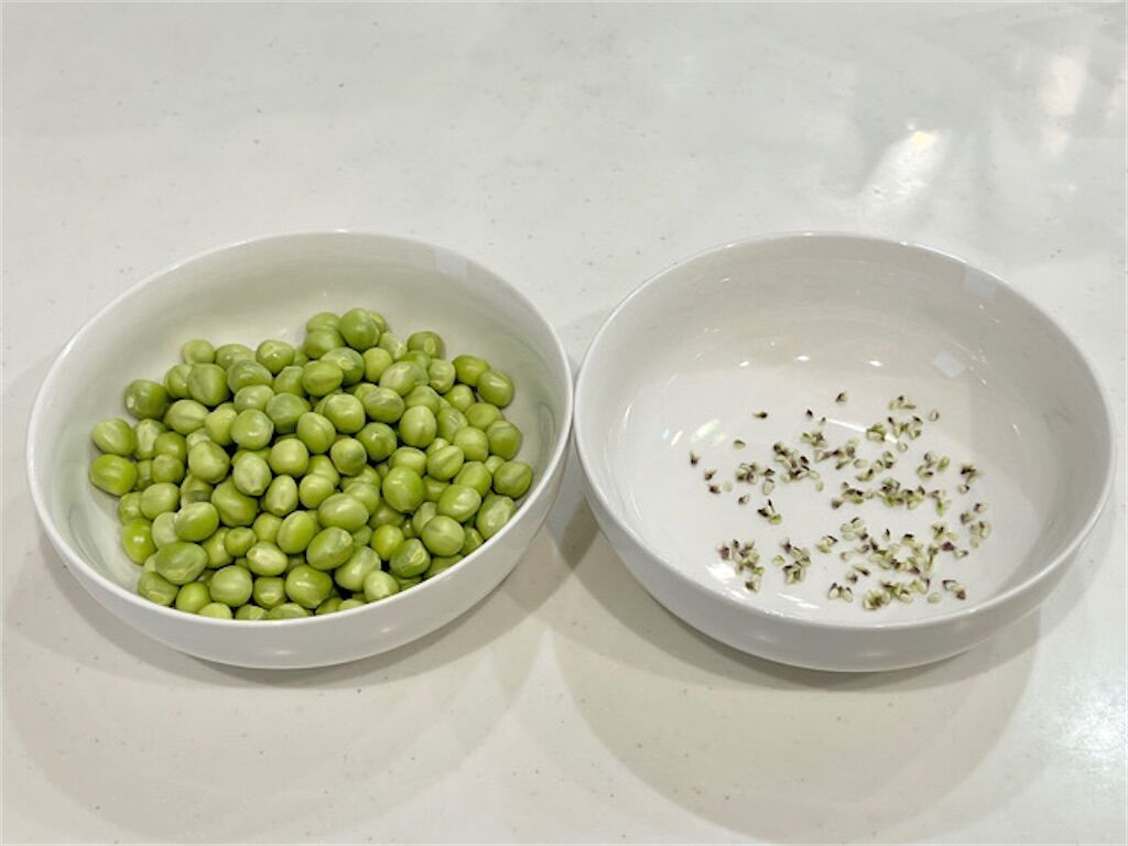 f:id:matundaba79:20230509003559j:image f:id:matundaba79:20230509003559j:image