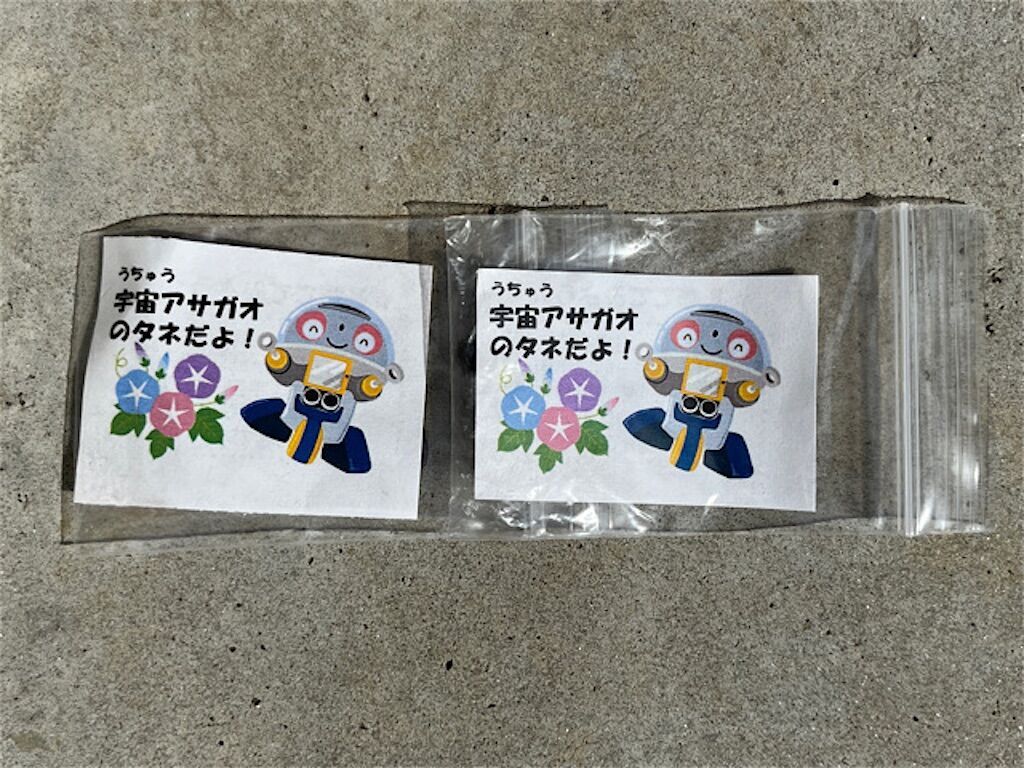 f:id:matundaba79:20230509005037j:image