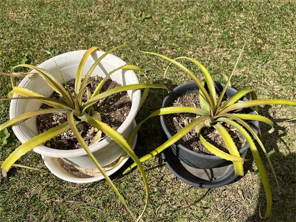 f:id:matundaba79:20230509005235j:image f:id:matundaba79:20230509005235j:image