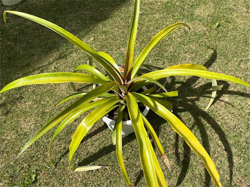 f:id:matundaba79:20230509005239j:image f:id:matundaba79:20230509005239j:image