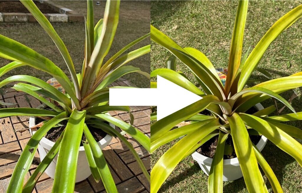 f:id:matundaba79:20230511085034j:image f:id:matundaba79:20230511085034j:image