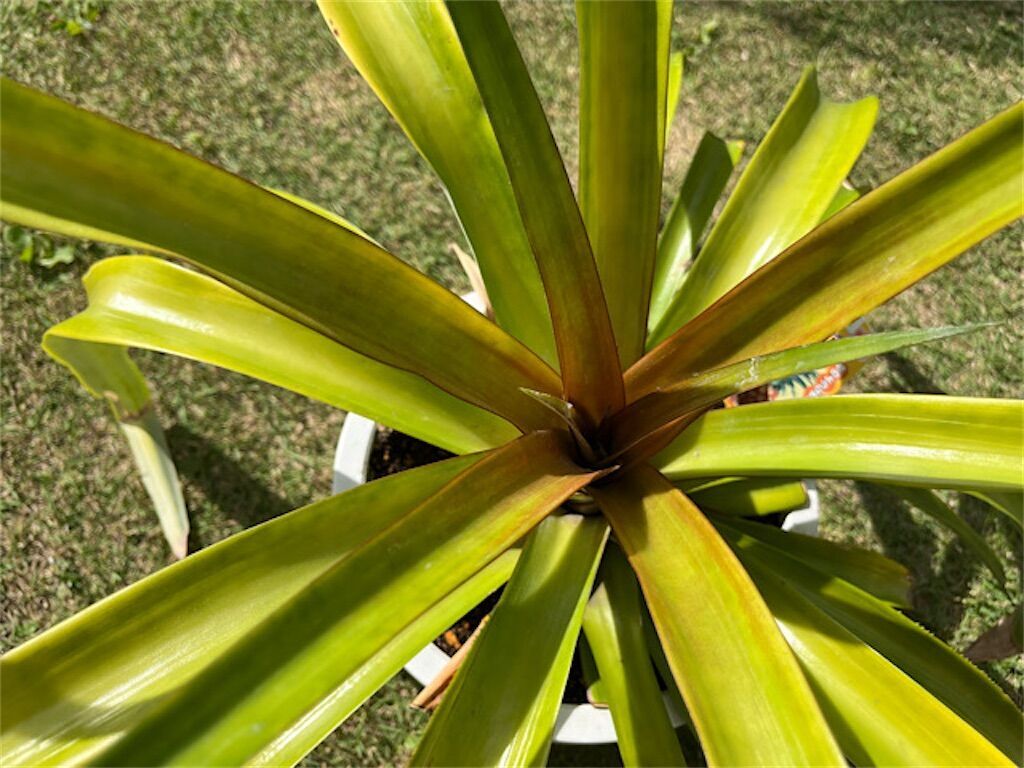 f:id:matundaba79:20230511224724j:image f:id:matundaba79:20230511224724j:image