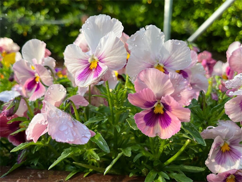 f:id:matundaba79:20230518084613j:image f:id:matundaba79:20230518084613j:image