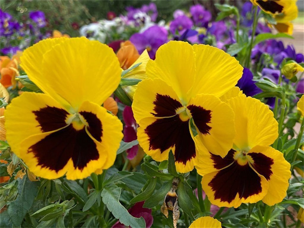 f:id:matundaba79:20230608224814j:image