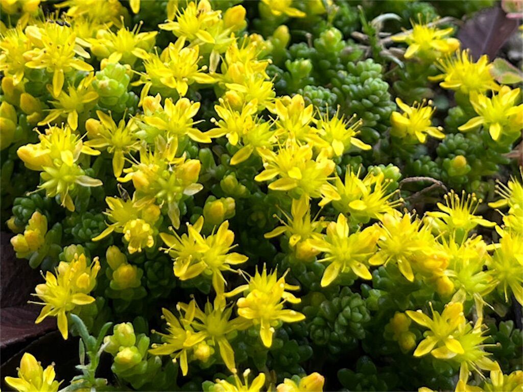 f:id:matundaba79:20230613090348j:image f:id:matundaba79:20230613090348j:image