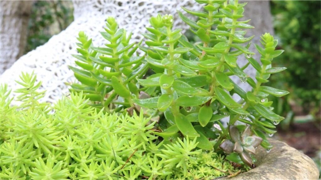 f:id:matundaba79:20230613223306j:image f:id:matundaba79:20230613223306j:image