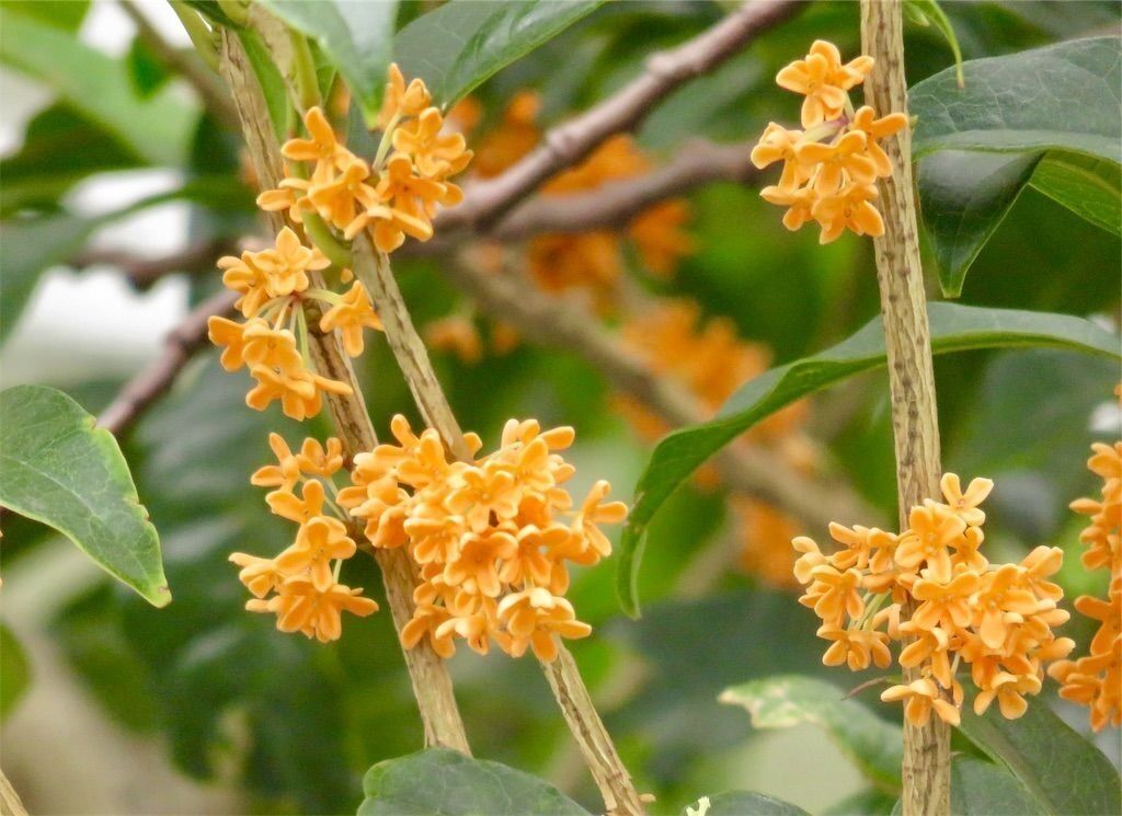 f:id:matundaba79:20230620223521j:image f:id:matundaba79:20230620223521j:image