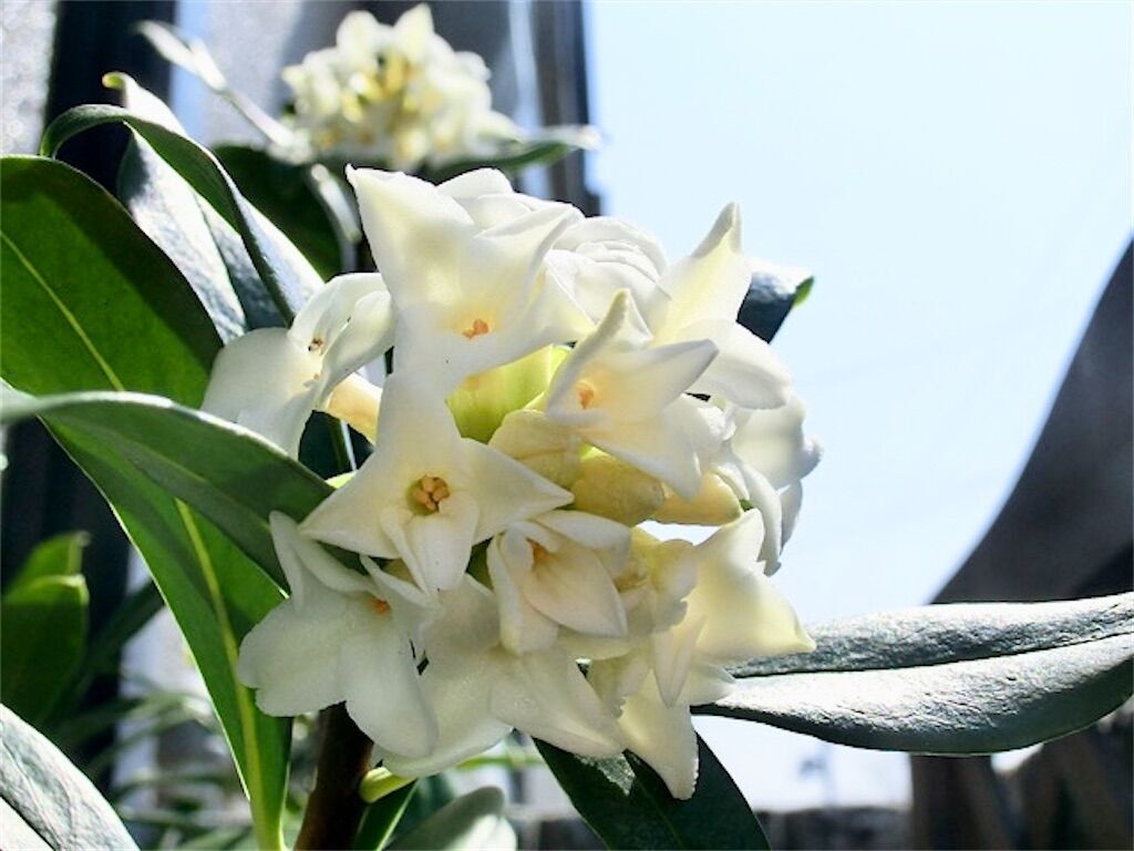 f:id:matundaba79:20230620223546j:image f:id:matundaba79:20230620223546j:image