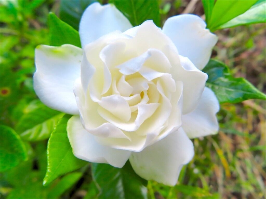 f:id:matundaba79:20230624222818j:image f:id:matundaba79:20230624222818j:image