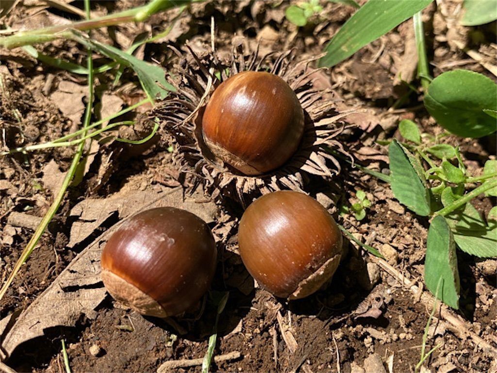 f:id:matundaba79:20230725085612j:image f:id:matundaba79:20230725085612j:image