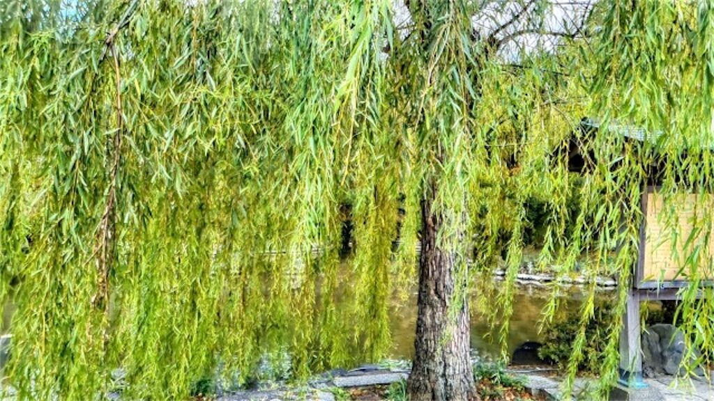 f:id:matundaba79:20230727235210j:image f:id:matundaba79:20230727235210j:image