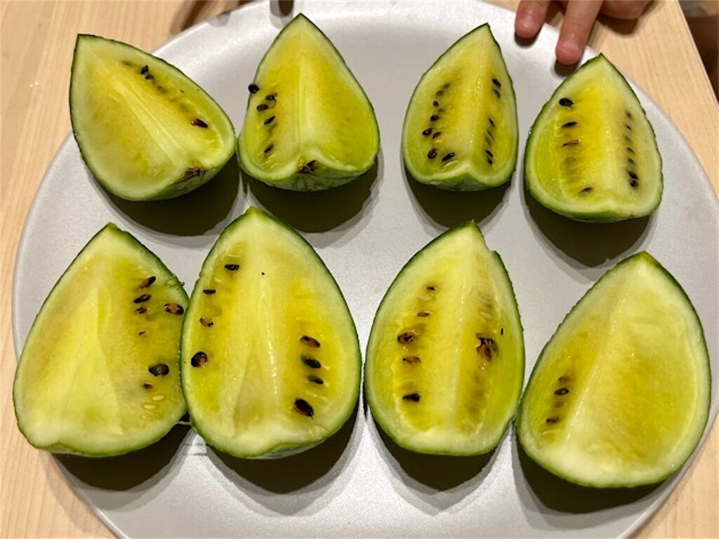息子達と育てるスイカ2023④】超・小玉スイカを収穫！肝心のお味