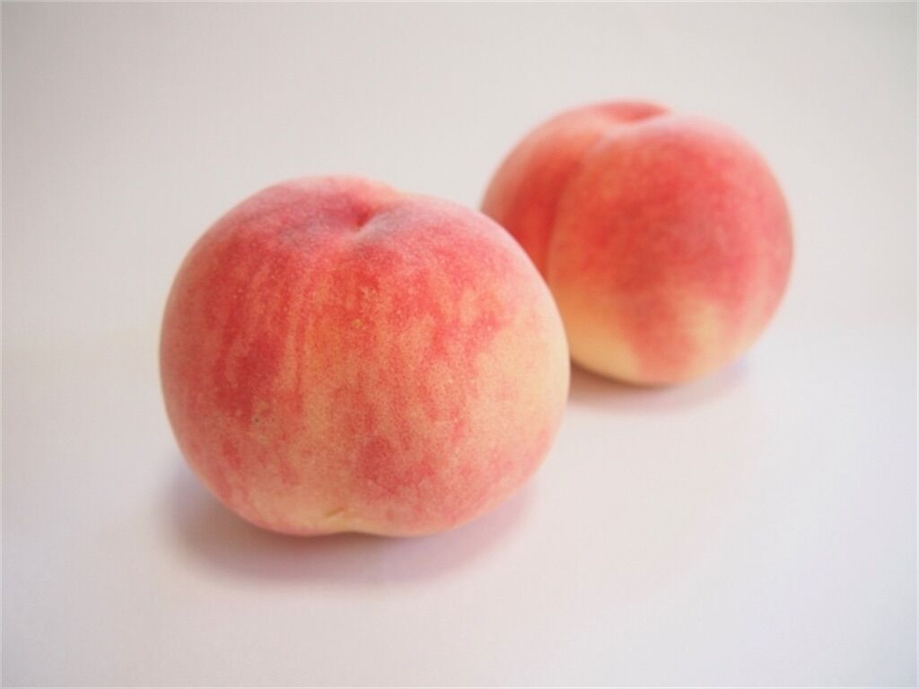 f:id:matundaba79:20230811223347j:image