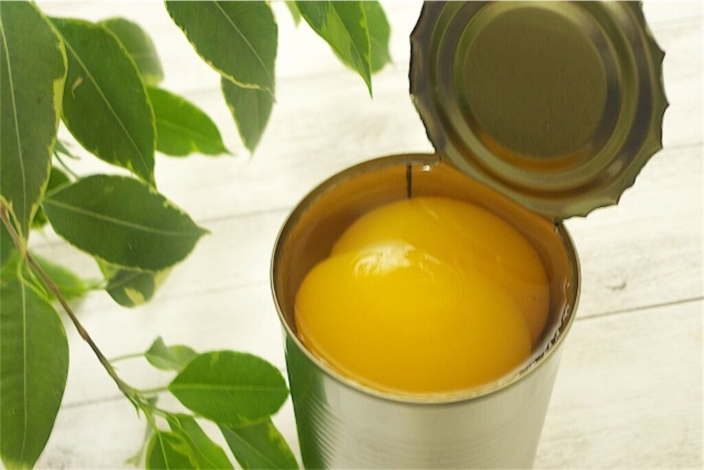 f:id:matundaba79:20230811223353j:image