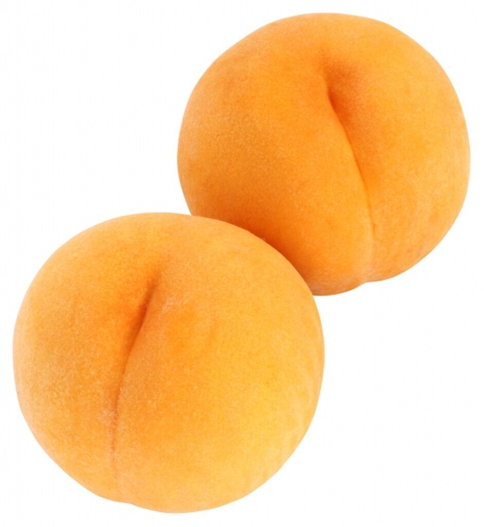 f:id:matundaba79:20230811223401j:image