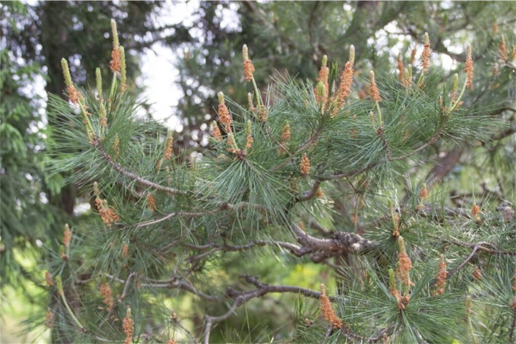 f:id:matundaba79:20230816221958j:image