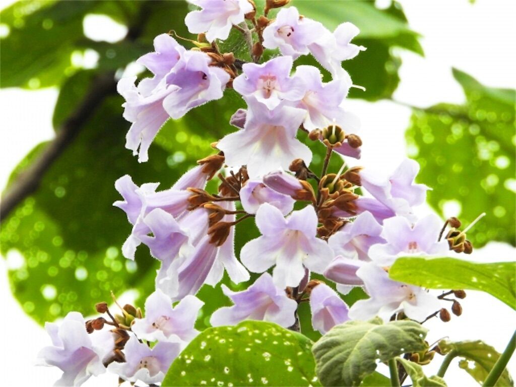 f:id:matundaba79:20230816222011j:image