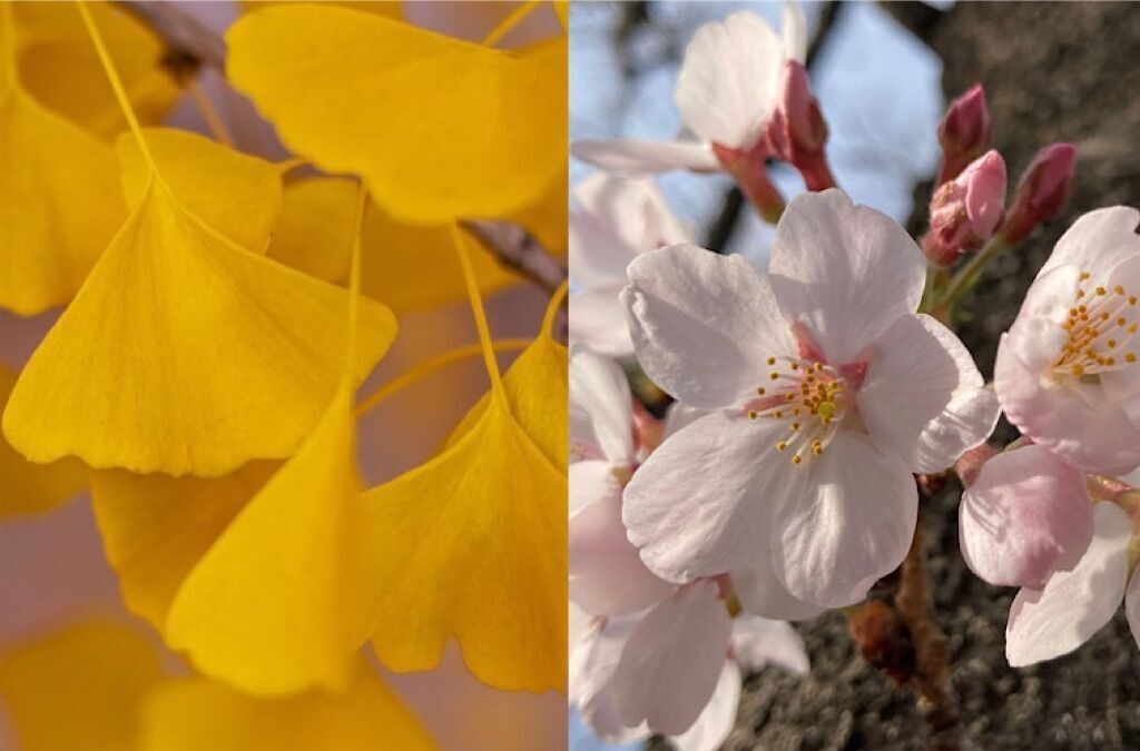 f:id:matundaba79:20231224221809j:image