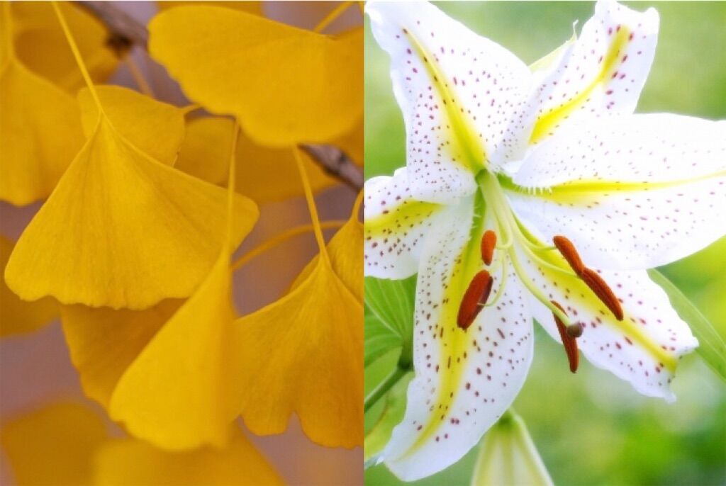 f:id:matundaba79:20231224221832j:image