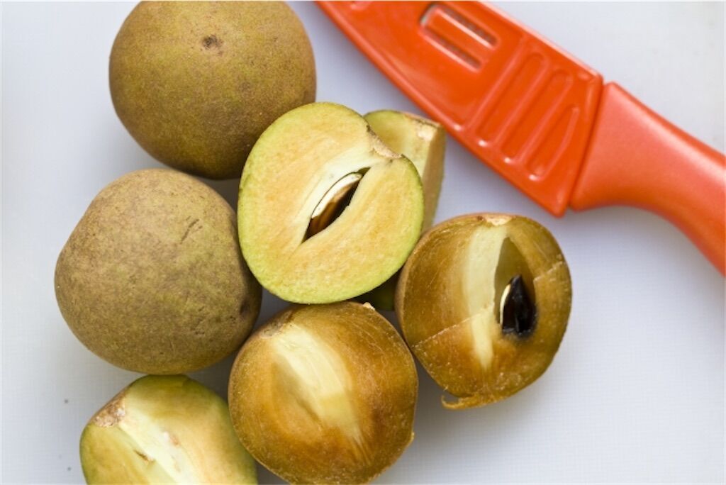 f:id:matundaba79:20231225235517j:image f:id:matundaba79:20231225235517j:image