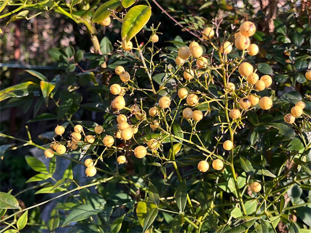 f:id:matundaba79:20240116234833j:image f:id:matundaba79:20240116234833j:image