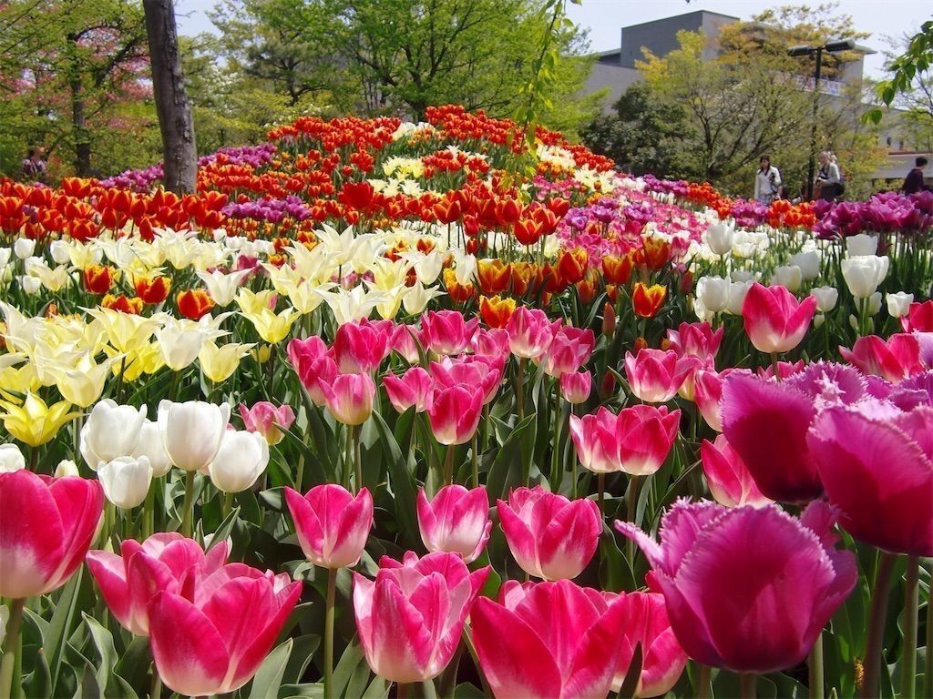 f:id:matundaba79:20240117085913j:image