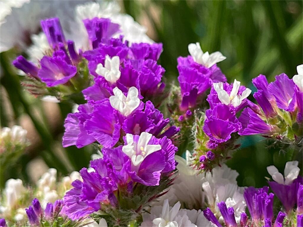f:id:matundaba79:20240509212712j:image