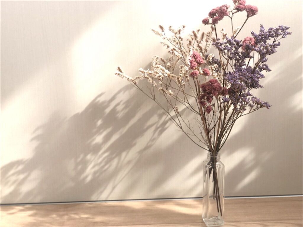 f:id:matundaba79:20240509214242j:image