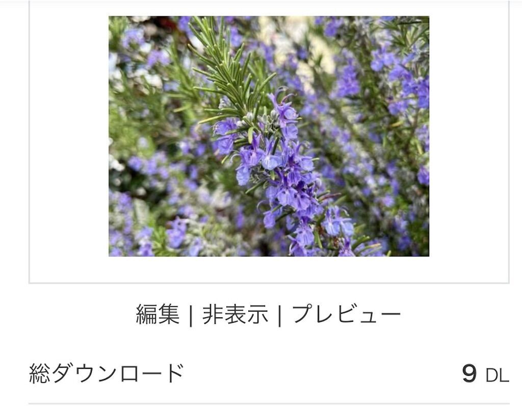 f:id:matundaba79:20240603215106j:image