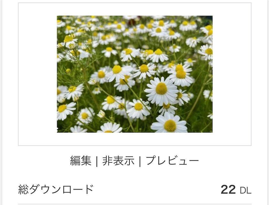 f:id:matundaba79:20240603215109j:image