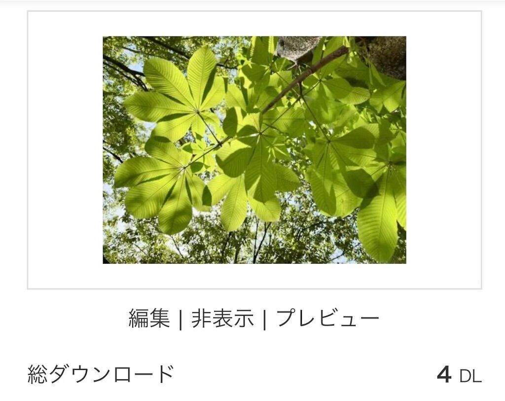 f:id:matundaba79:20240603215112j:image