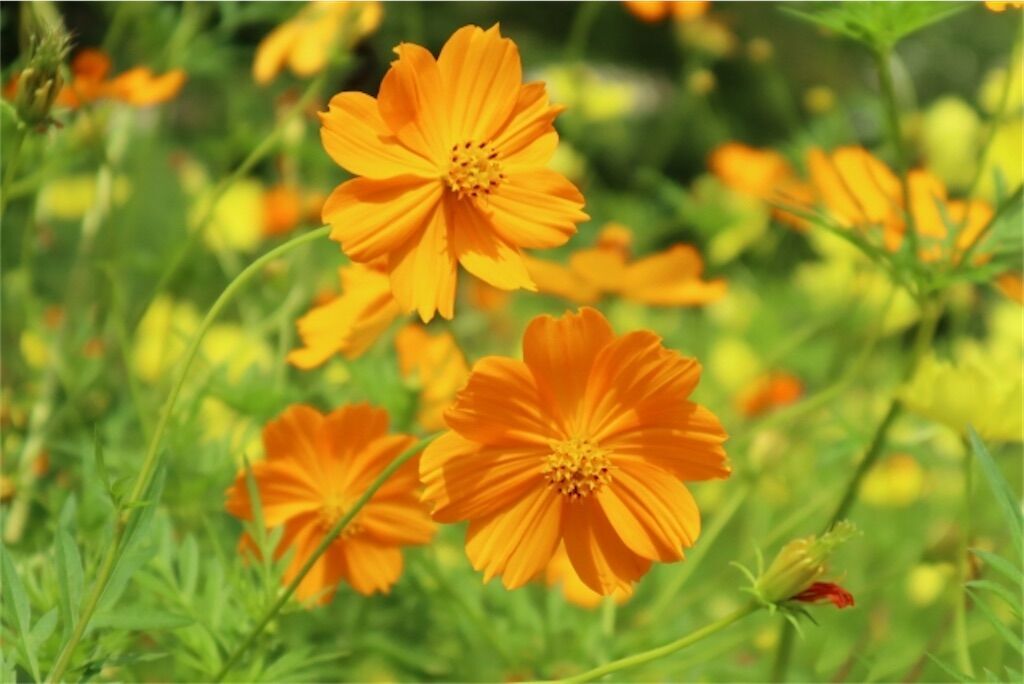 f:id:matundaba79:20240717164512j:image