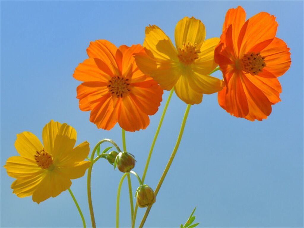 f:id:matundaba79:20240717164520j:image